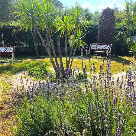 Sterlizia - 2 Steps From The Beach! - Vakantiehuis