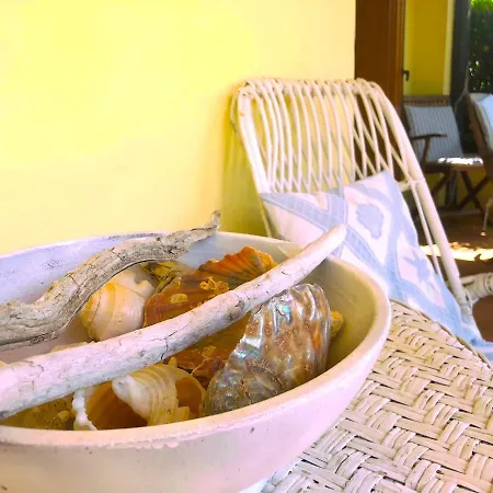 Sterlizia - 2 Steps From The Beach! - Vakantiehuis