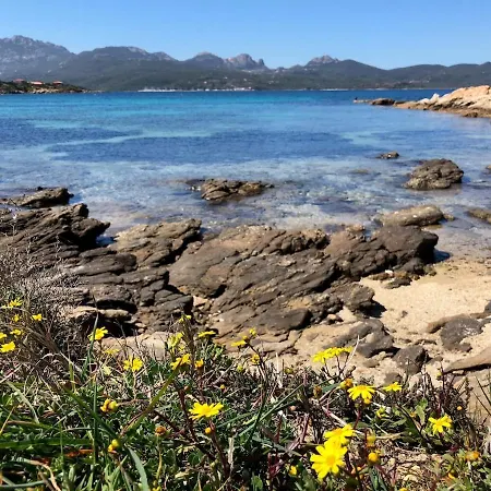Sterlizia - 2 Steps From The Beach! - Vakantiehuis